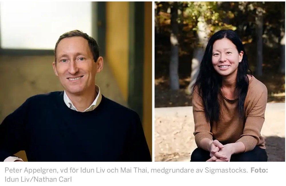 Deras digitala tjänst för pensionsflytt utmanar jättarna